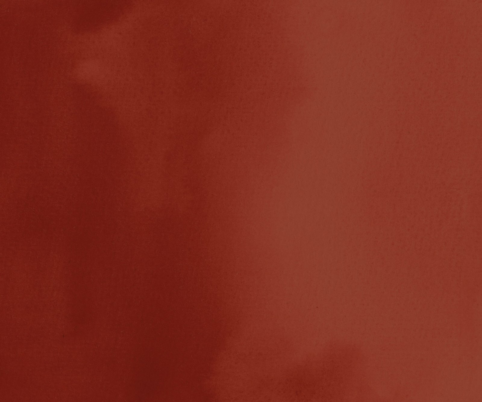 Anne L.